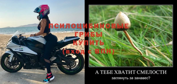 прущие крисы Абинск