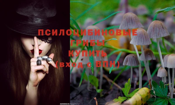 наркотики Алзамай