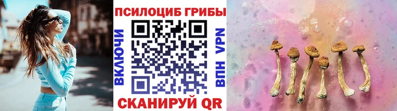Галлюциногенные грибы GOLDEN TEACHER Троицк